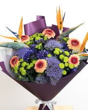 Bird of Paradise Bloom