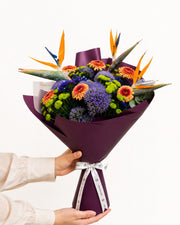 Bird of Paradise Bloom