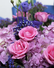 Moonlit Hydrangea