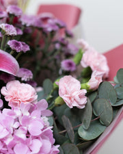 Magenta Muse