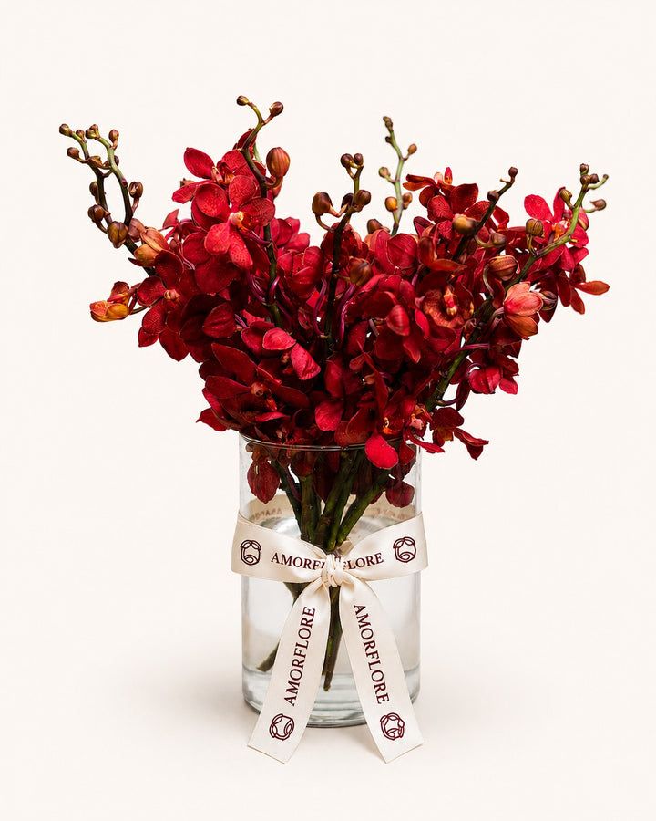 Ruby Orchid