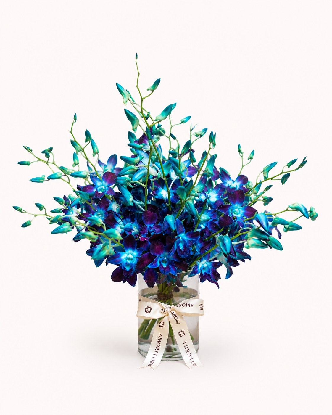Ocean Orchid