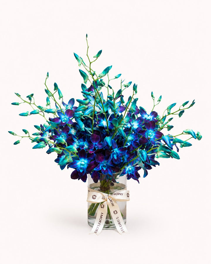 Ocean Orchid