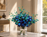 Ocean Orchid