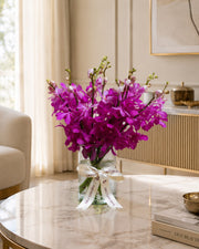 Orchid In Bloom