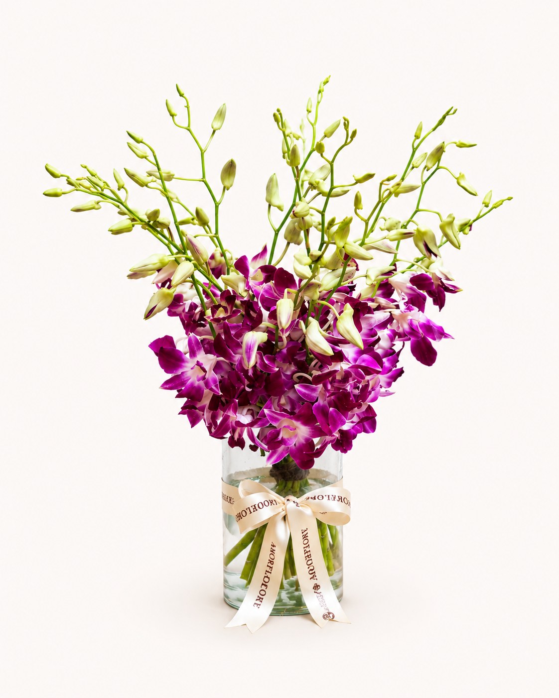 Purple Rain Orchid