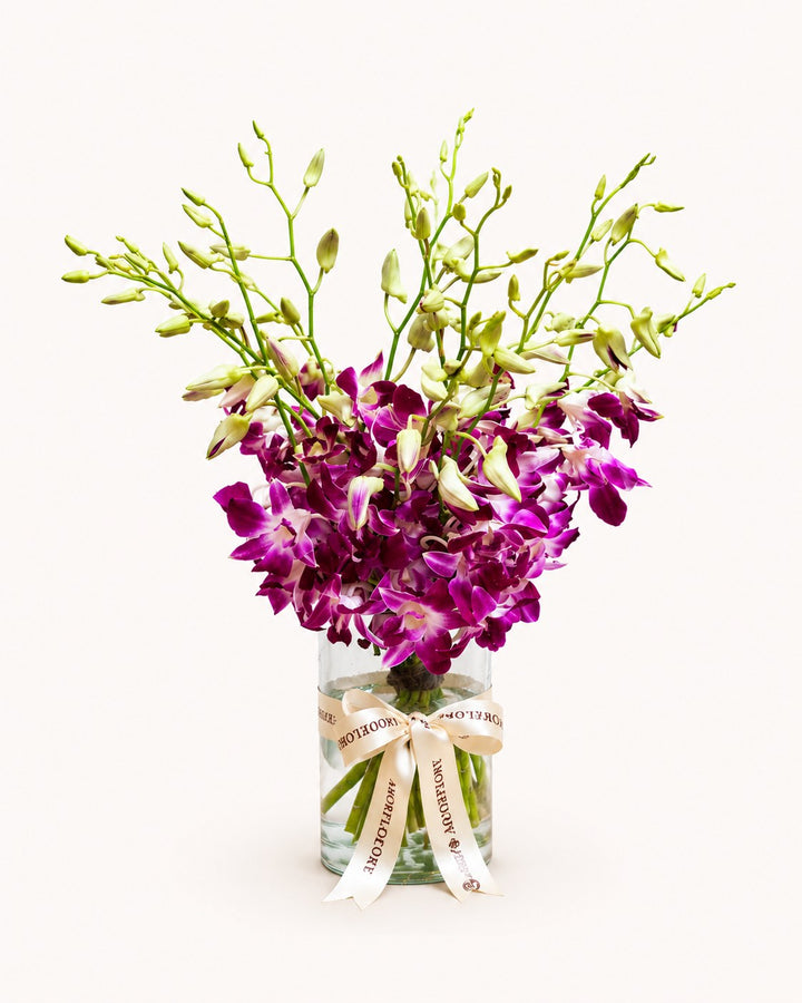 Purple Rain Orchid