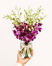 Purple Rain Orchid