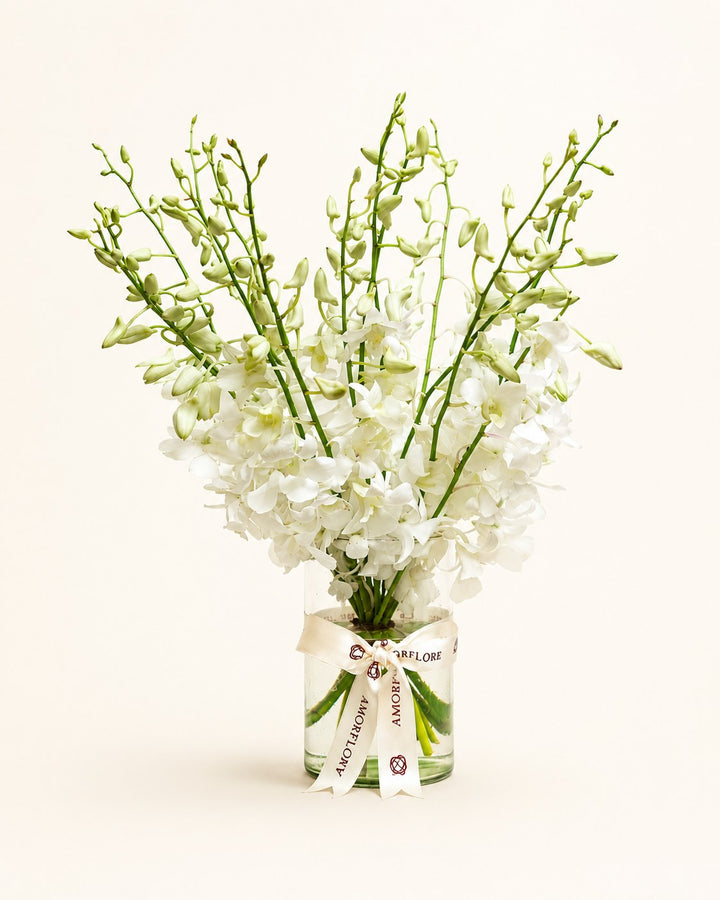 Pearl Orchid