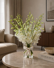 Pearl Orchid