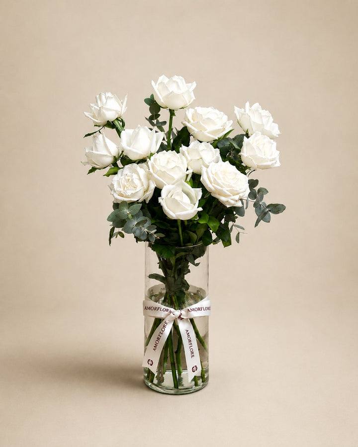 Classic White Rose