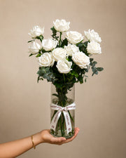 Classic White Rose