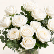 Classic White Rose