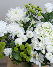 Verdant White