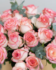 Petal Grace