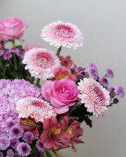 Lilac & Rose