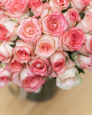 Majestic Bloom