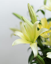 Lemon Lily Vase
