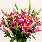 Blush Lily Vase