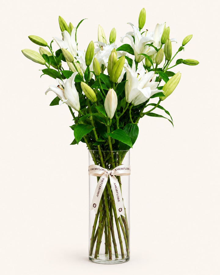 Tomorrow's Bloom