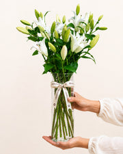 Tomorrow's Bloom